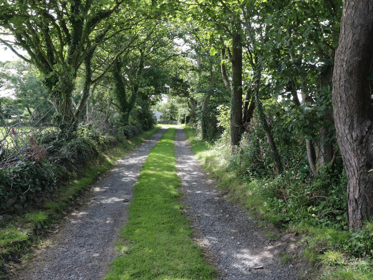 Bodegri Cottage Llanfflewyn Exteriér fotografie